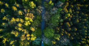 Drone image of a rural landscape.